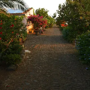 Hibiscus Isola di Ustica
