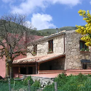 Gelso Castellana Sicula